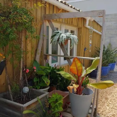 Cocooning Apartament