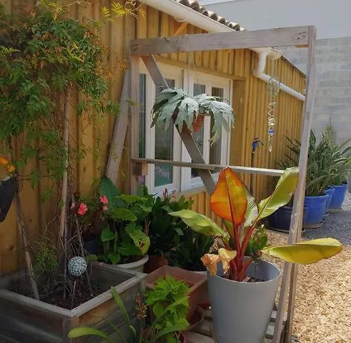 Cocooning Appartement